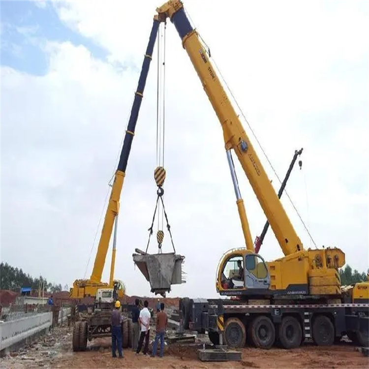 临高小型吊机出租电话|厂房设备吊装方案|24小时服务覆盖